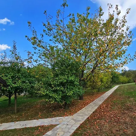 Enigma * Bihać